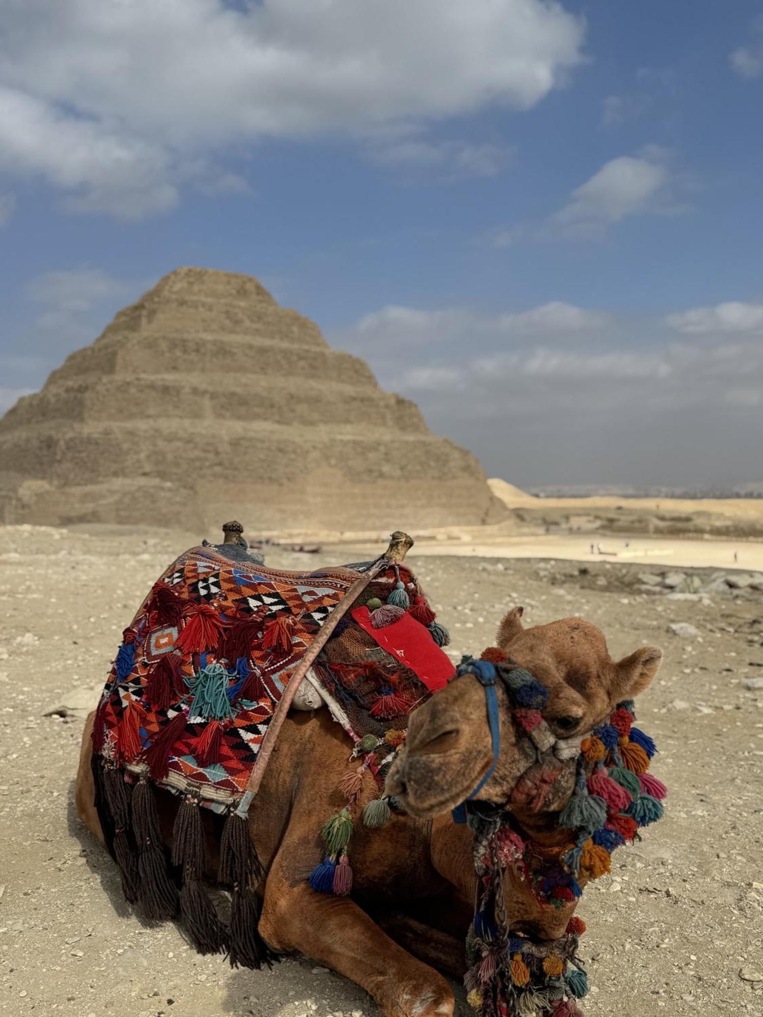 K Boutique Hotel Medspa-Pyramids & Grand Egyptian Museum Ghatati Exteriör bild